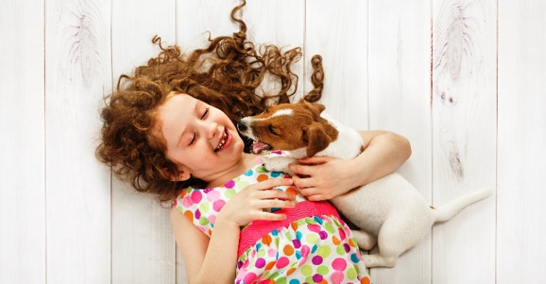 Leishmaniose Visceral Canina: como proteger seu cão