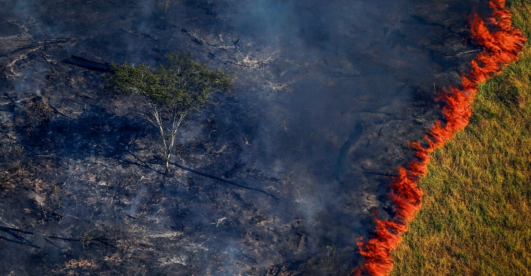 Desmatamento na Amazônia elevou emissões de carbono do Brasil em 9,6% em 2019