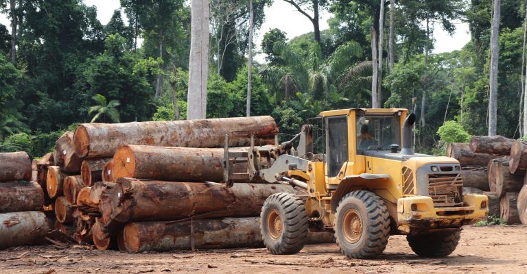 Abril registra recorde de desmatamento na Amazônia nos últimos dez anos