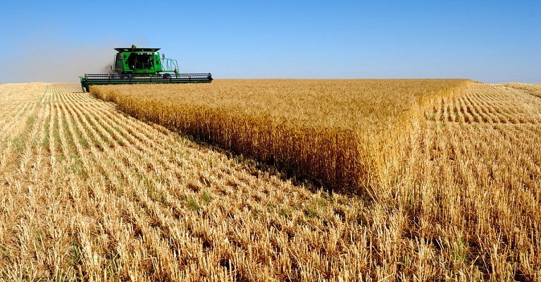 Exportações do agronegócio cresceram 4,8% em setembro, puxadas pelo açúcar