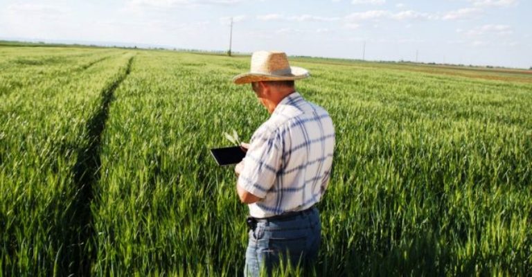 Internet no campo pode elevar produção agropecuária em até R$ 100 bi