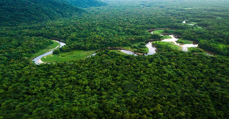 Sérgio Bringel: “preservar a Amazônia é cuidar do futuro de todos”