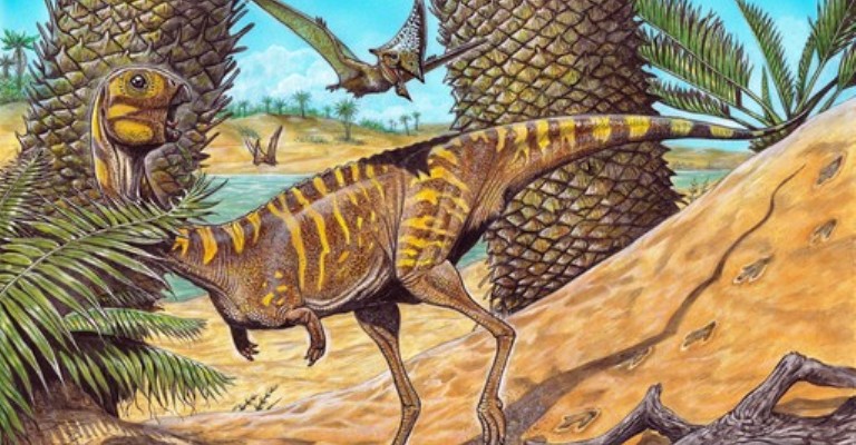 Museu Nacional anuncia descoberta de dinossauro muito raro