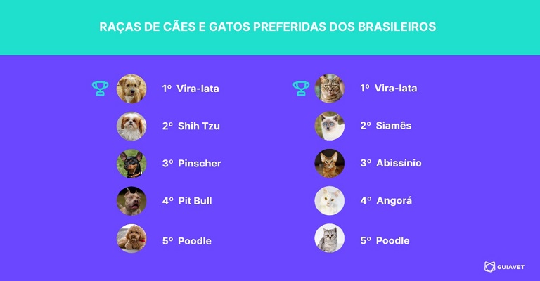 Pesquisa revela que cães e gatos vira-latas são os preferidos dos brasileiros