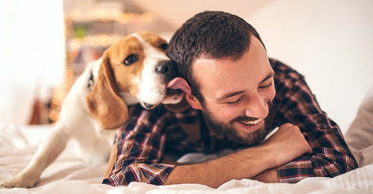 5 coisas que aprendi com os cães