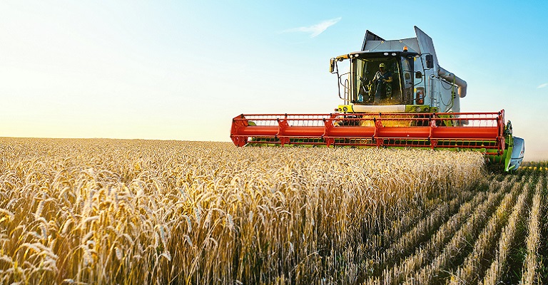 O papel da agroindústria e a importância da inovação no agronegócio brasileiro