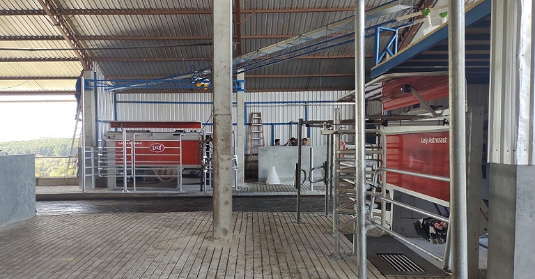 Investir em automação na produção leiteira aumenta produtividade por animal