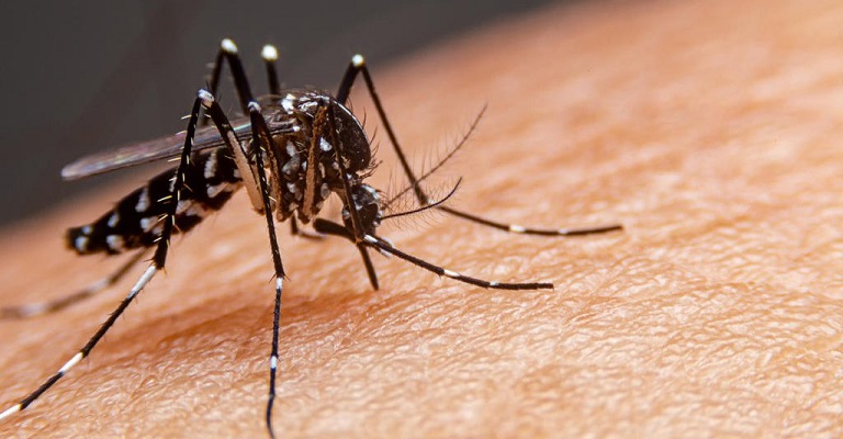 É hora de se preocupar com a dengue