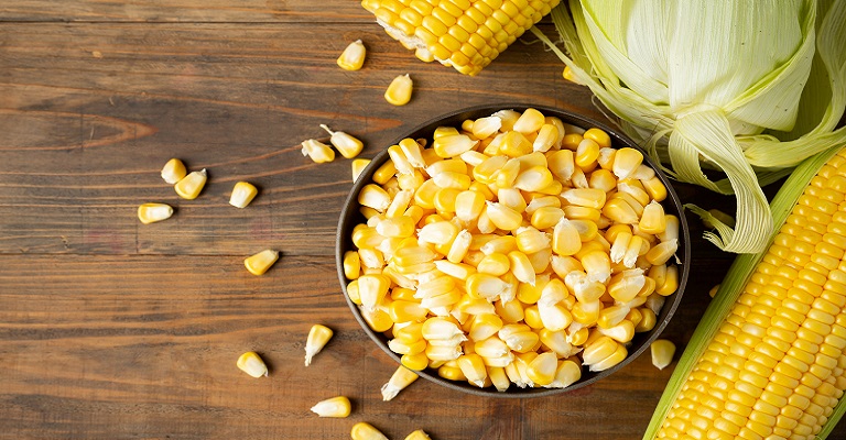 Conheça os benefícios do milho, protagonista das festas juninas