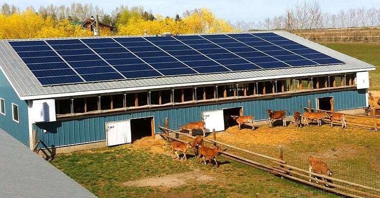 Uso de energia solar cresce nas propriedades rurais
