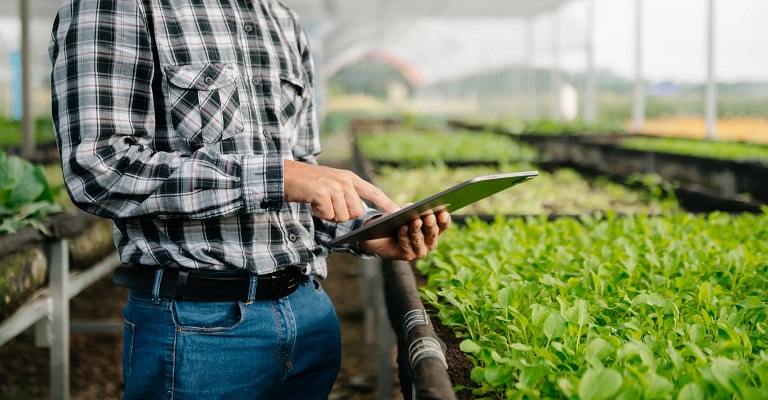Tecnologia é aliada para o aumento da competitividade no agro