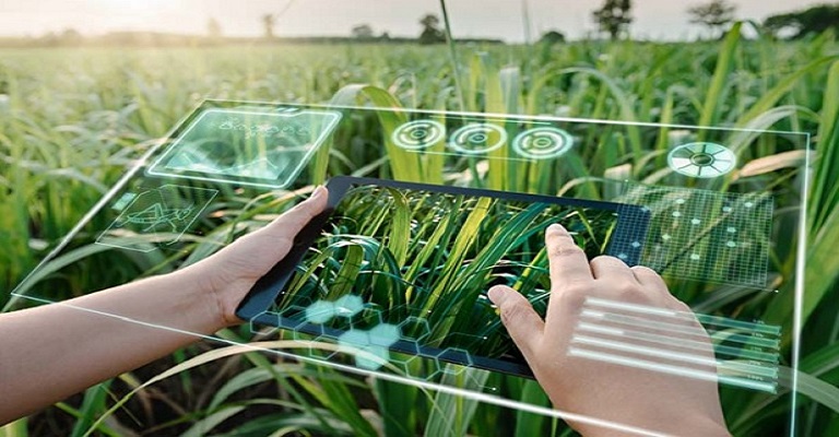 Conectividade no campo e o futuro da indústria de máquinas agrícolas no Brasil