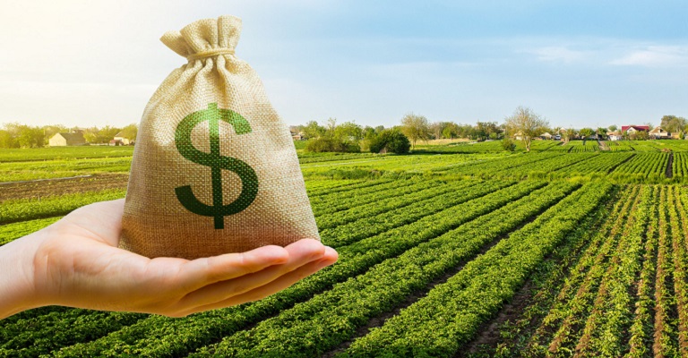 Agronegócio: a importância de mais investimentos e crédito para o setor em 2024