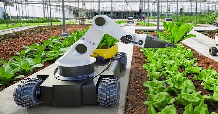Como a automação permite ao agronegócio superar desafios climáticos