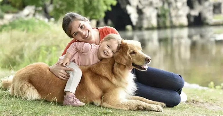 Mais que amigos: cães desenvolvem instinto protetor com a família